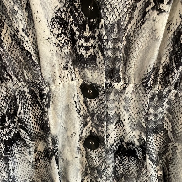 Zara animal print dress - Picture 4 of 7